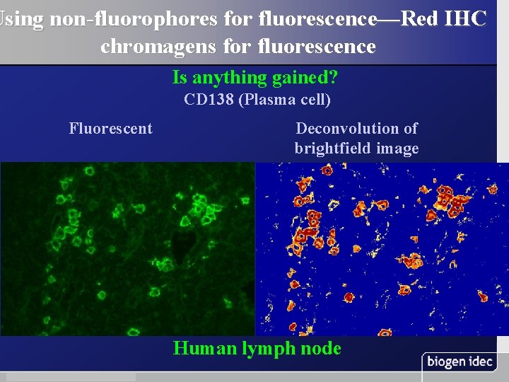 Using non-fluorophores for fluorescence—Red IHC chromagens for fluorescence Is anything gained? CD 138 (Plasma