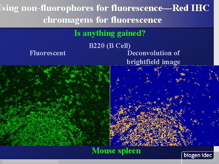 Using non-fluorophores for fluorescence—Red IHC chromagens for fluorescence Is anything gained? Fluorescent B 220