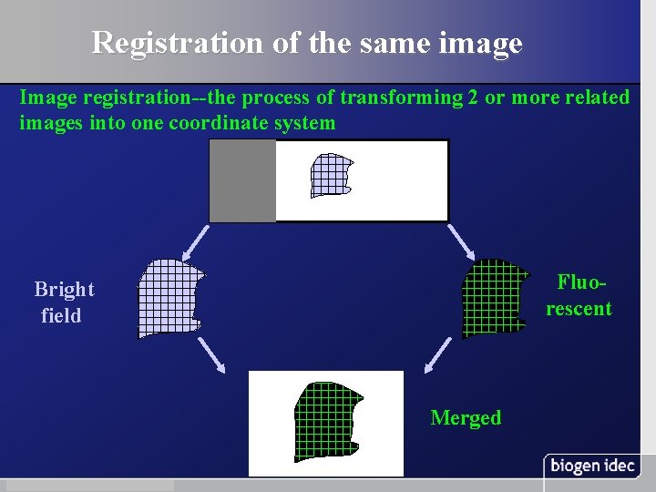 Registration of the same image Image registration--the process of transforming 2 or more related