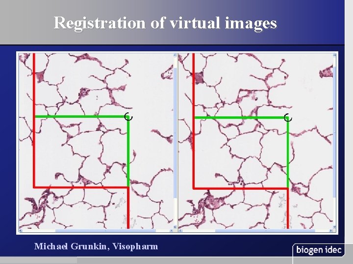 Registration of virtual images Michael Grunkin, Visopharm 33 November 13, 2003 