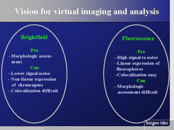 Vision for virtual imaging and analysis Brightfield Pro --Morphologic assessment Con --Lower signal: noise