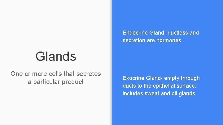 Endocrine Gland- ductless and secretion are hormones Glands One or more cells that secretes