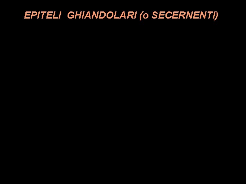 EPITELI GHIANDOLARI (o SECERNENTI) 