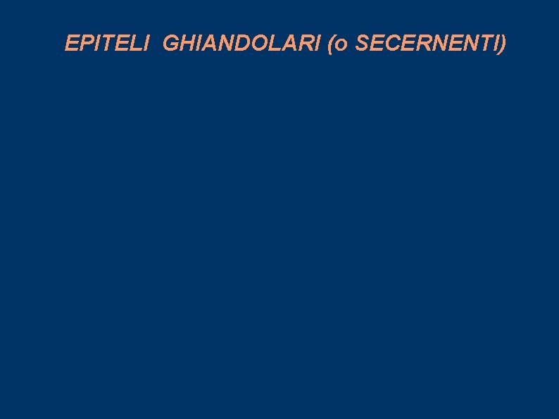 EPITELI GHIANDOLARI (o SECERNENTI) 