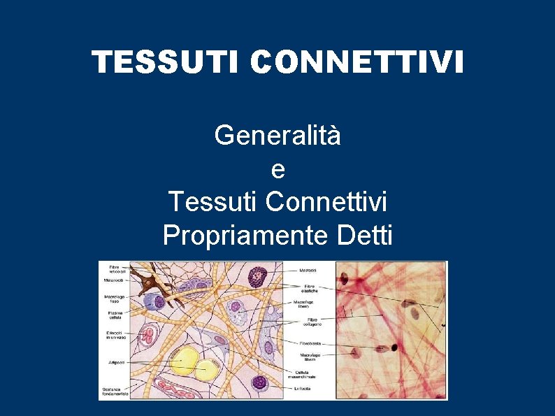 TESSUTI CONNETTIVI Generalità e Tessuti Connettivi Propriamente Detti 