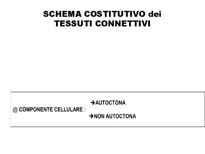 SCHEMA COSTITUTIVO dei TESSUTI CONNETTIVI 