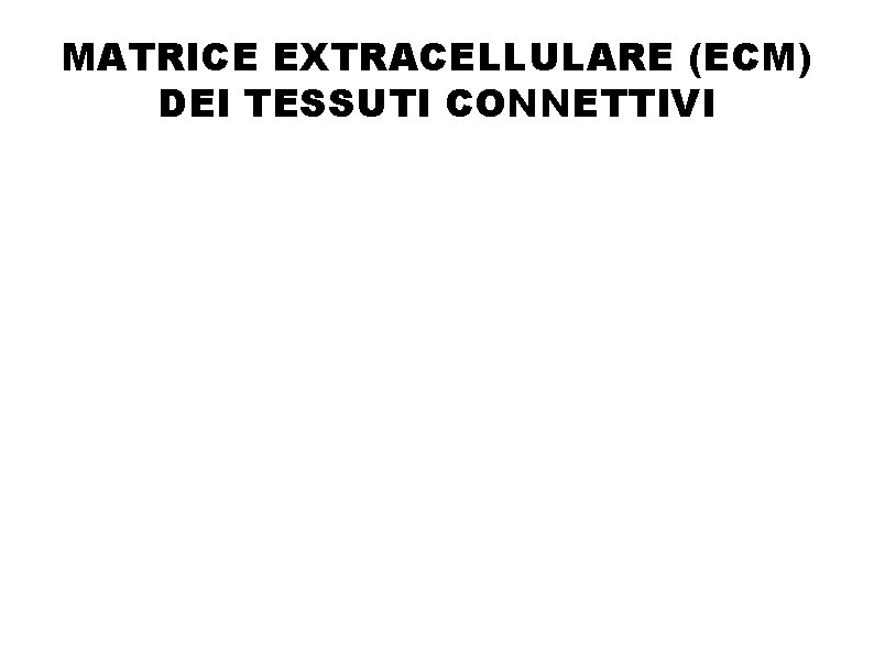 MATRICE EXTRACELLULARE (ECM) DEI TESSUTI CONNETTIVI 