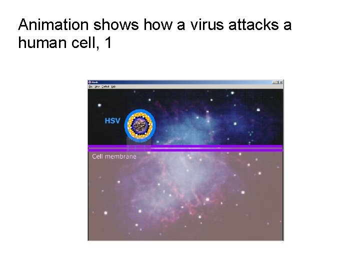 Animation shows how a virus attacks a human cell, 1 
