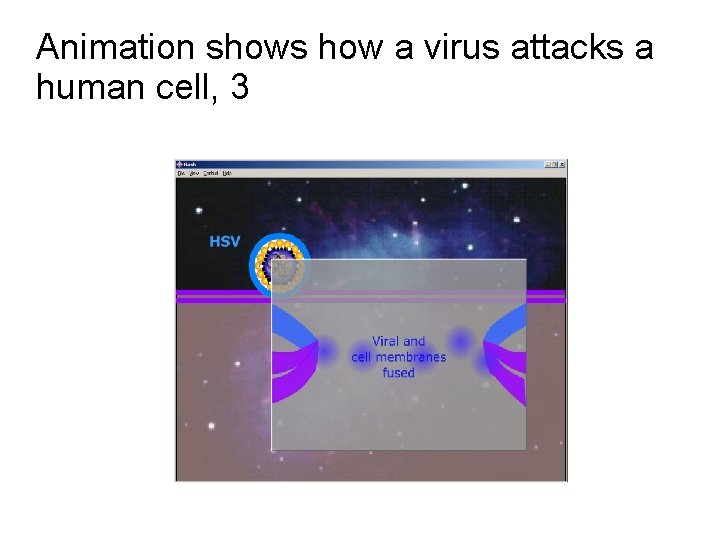 Animation shows how a virus attacks a human cell, 3 Animation shows how a virus attacks a human cell, 3