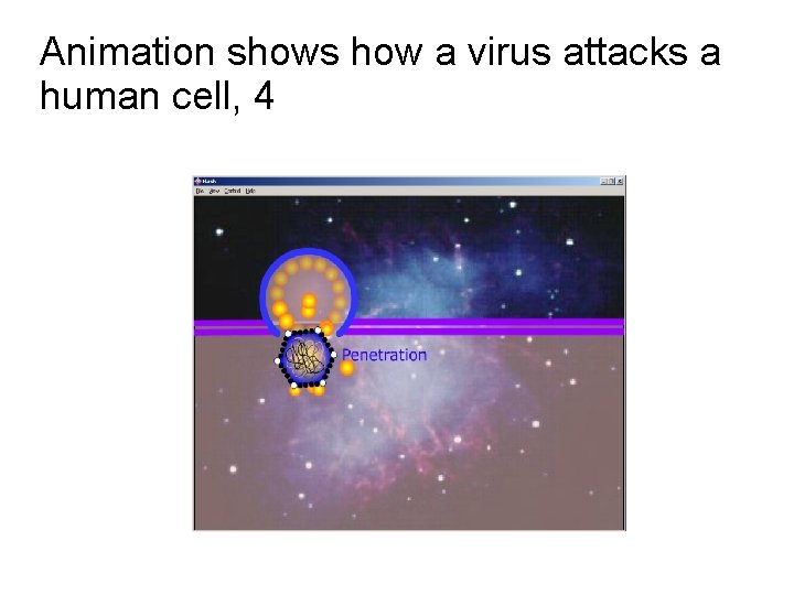 Animation shows how a virus attacks a human cell, 4 Animation shows how a virus attacks a human cell, 4