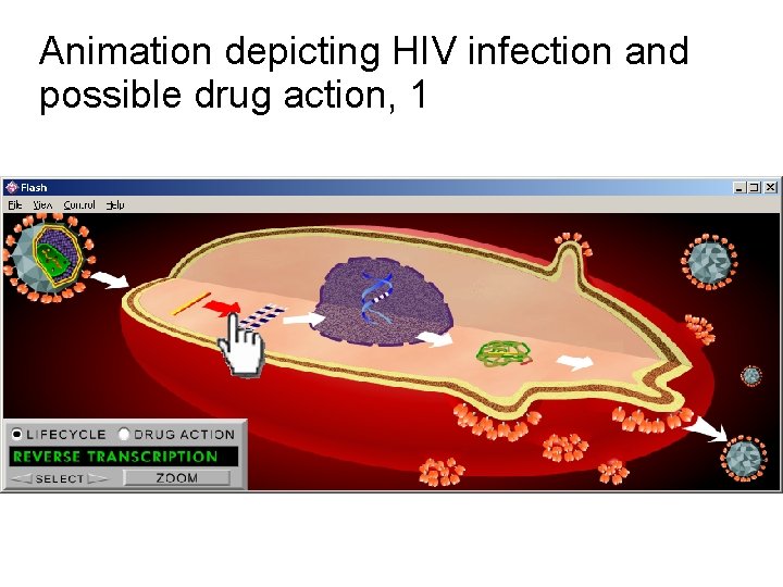 Animation depicting HIV infection and possible drug action, 1 