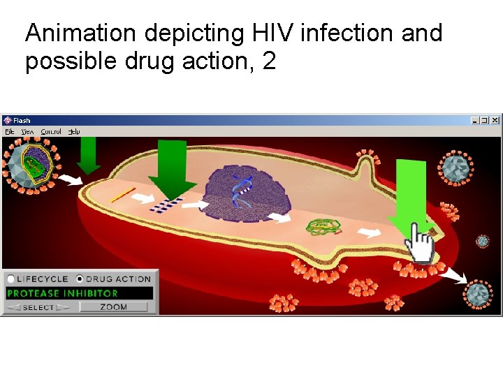 Animation depicting HIV infection and possible drug action, 2 