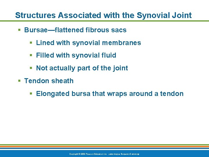 Structures Associated with the Synovial Joint Bursae—flattened fibrous sacs Lined with synovial membranes Filled