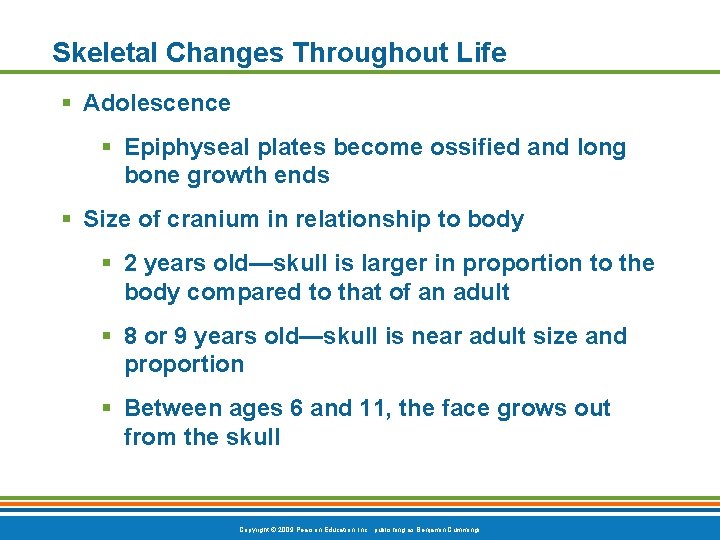 Skeletal Changes Throughout Life Adolescence Epiphyseal plates become ossified and long bone growth ends