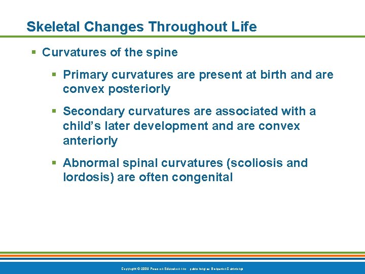 Skeletal Changes Throughout Life Curvatures of the spine Primary curvatures are present at birth