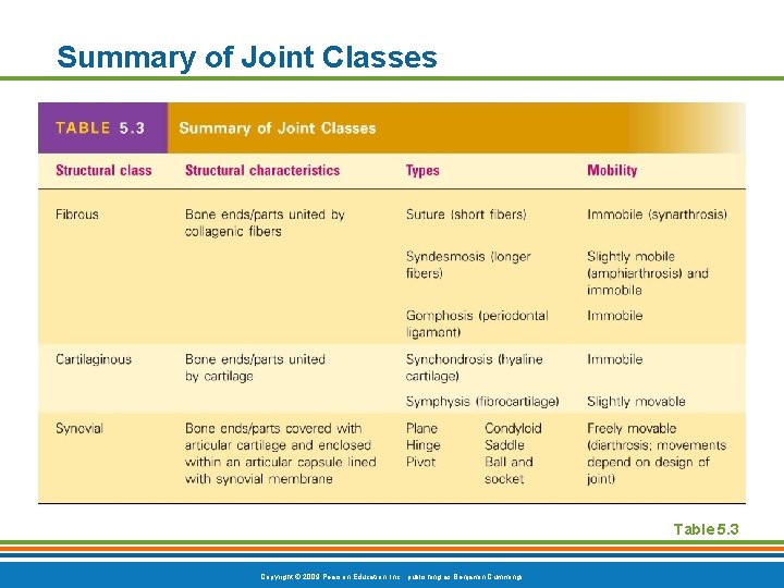 Summary of Joint Classes [Insert Table 5. 3 here] Table 5. 3 Copyright ©