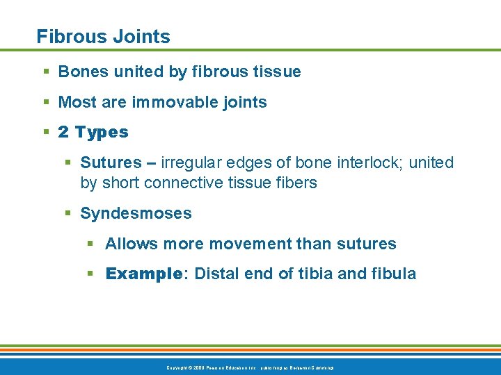 Fibrous Joints Bones united by fibrous tissue Most are immovable joints 2 Types Sutures