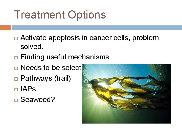 Treatment Options Activate apoptosis in cancer cells, problem solved. Finding useful mechanisms Needs to