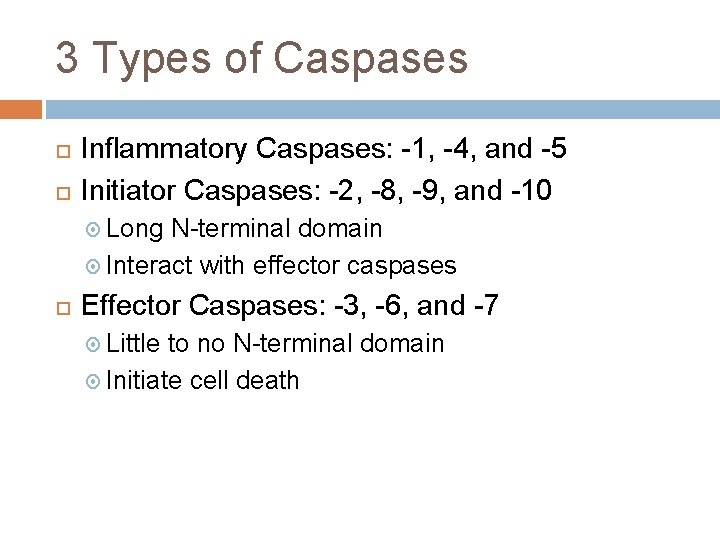 3 Types of Caspases Inflammatory Caspases: -1, -4, and -5 Initiator Caspases: -2, -8,