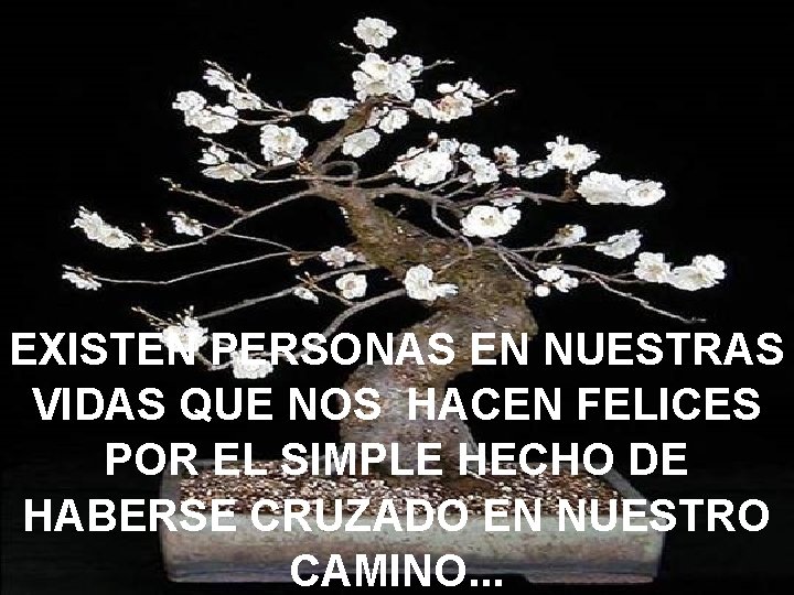 EXISTEN PERSONAS EN NUESTRAS VIDAS QUE NOS HACEN FELICES POR EL SIMPLE HECHO DE