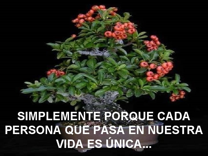 SIMPLEMENTE PORQUE CADA PERSONA QUE PASA EN NUESTRA VIDA ES ÚNICA. . . 