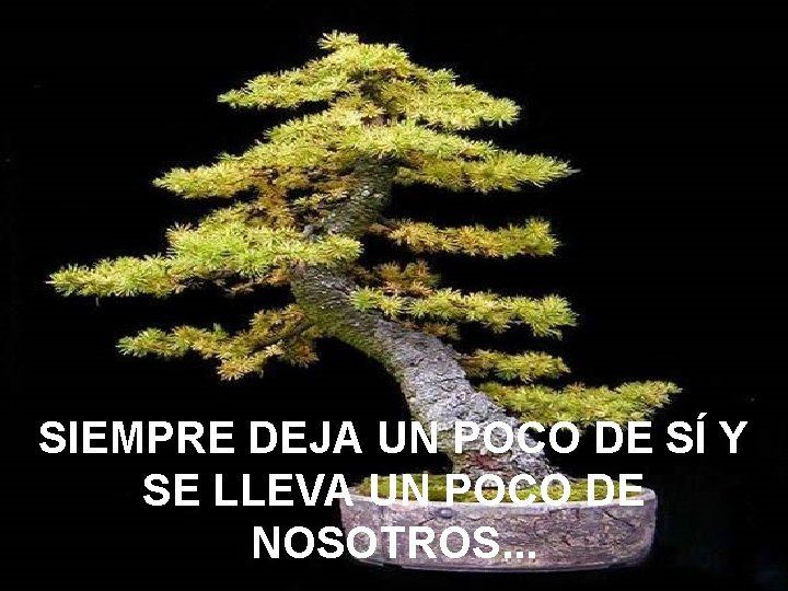SIEMPRE DEJA UN POCO DE SÍ Y SE LLEVA UN POCO DE NOSOTROS. .