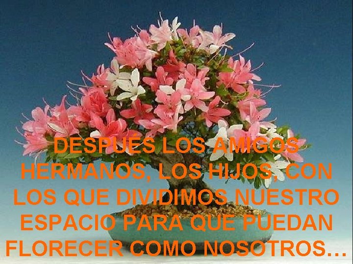 DESPUÉS LOS AMIGOS HERMANOS, LOS HIJOS, CON LOS QUE DIVIDIMOS NUESTRO ESPACIO PARA QUE