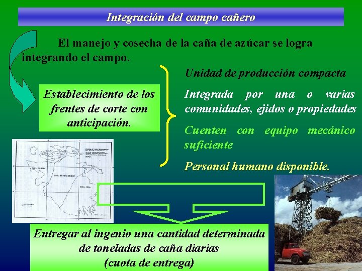 Integración del campo cañero El manejo y cosecha de la caña de azúcar se