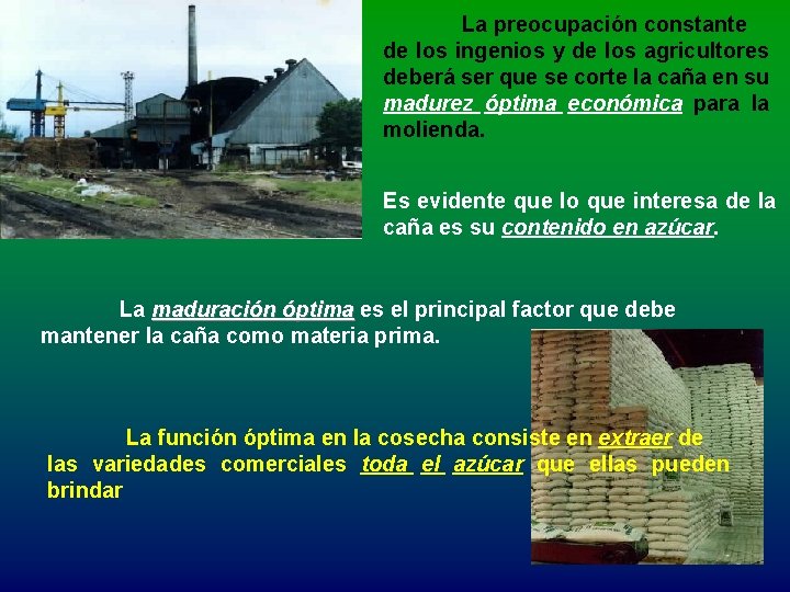 La preocupación constante de los ingenios y de los agricultores deberá ser que se