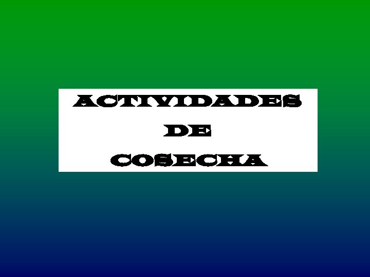 ACTIVIDADES DE COSECHA 