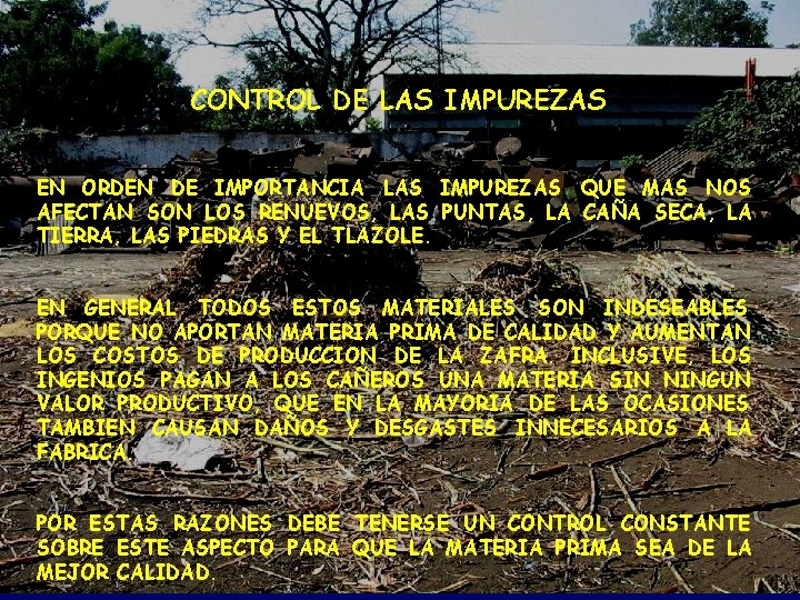 CONTROL DE LAS IMPUREZAS EN ORDEN DE IMPORTANCIA LAS IMPUREZAS QUE MAS NOS AFECTAN