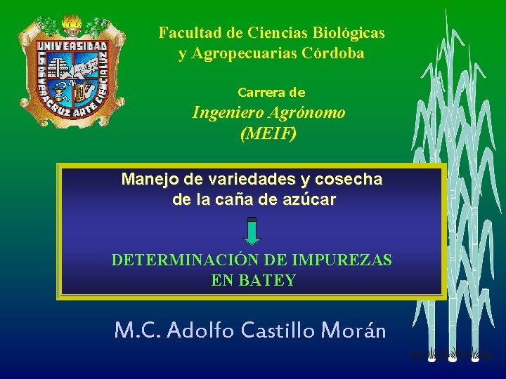 Facultad de Ciencias Biológicas y Agropecuarias Córdoba Carrera de Ingeniero Agrónomo (MEIF) Manejo de