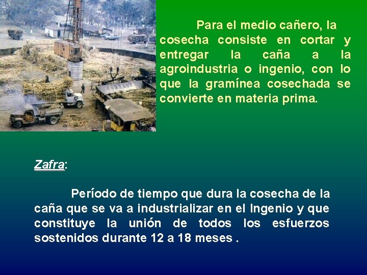 Para el medio cañero, la cosecha consiste en cortar y entregar la caña a