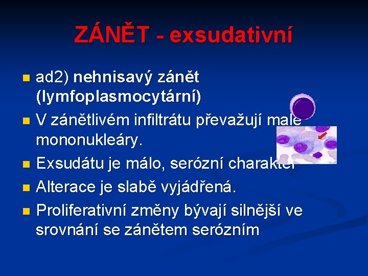 ZÁNĚT - exsudativní ad 2) nehnisavý zánět (lymfoplasmocytární) n V zánětlivém infiltrátu převažují malé