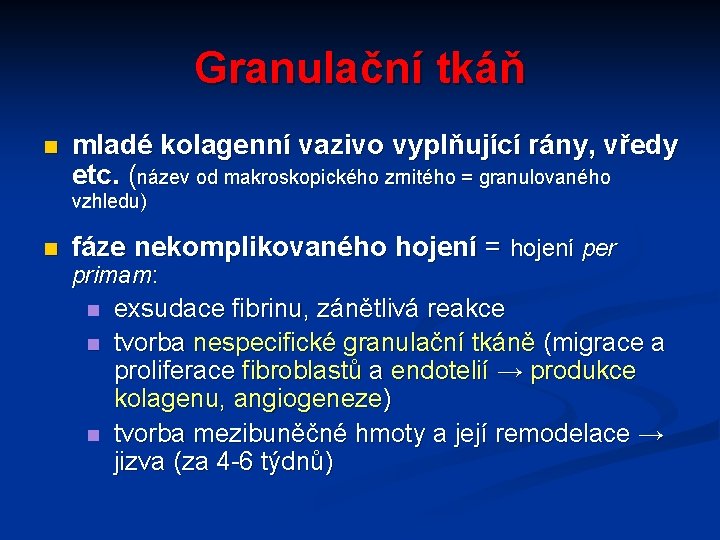 Granulační tkáň n mladé kolagenní vazivo vyplňující rány, vředy etc. (název od makroskopického zrnitého