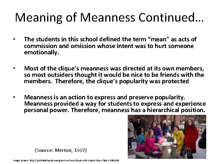 Meaning of Meanness Continued… • The students in this school defined the term “mean”