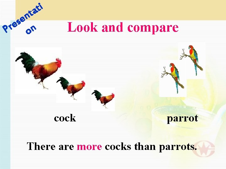 i t ta n e s e Pr on Look and compare cock parrot