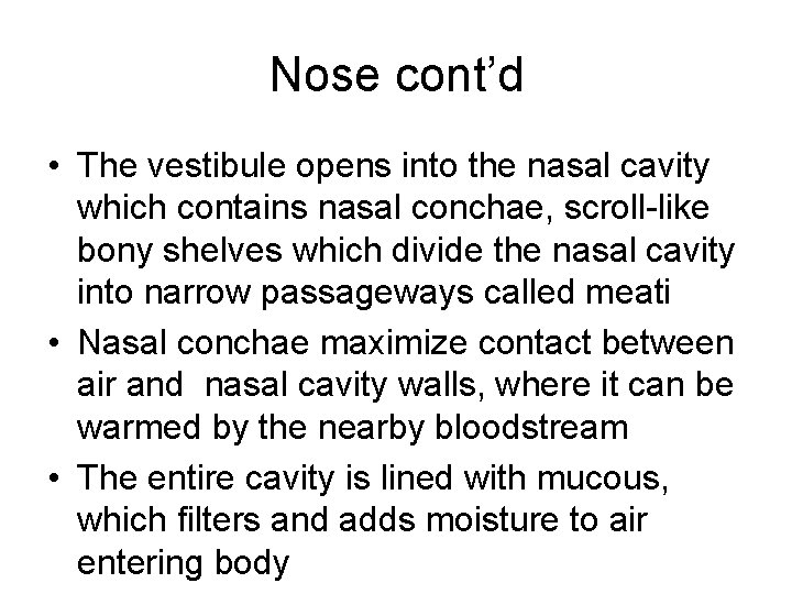 Nose cont’d • The vestibule opens into the nasal cavity which contains nasal conchae,