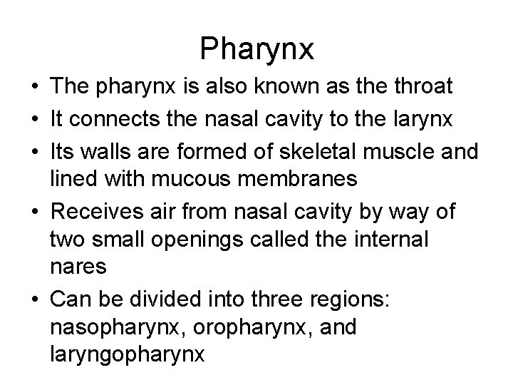 Pharynx • The pharynx is also known as the throat • It connects the