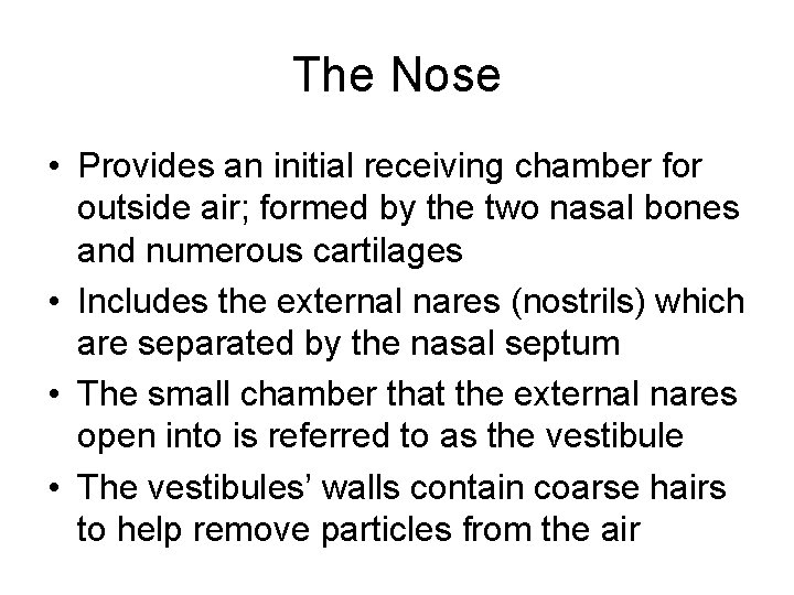 The Nose • Provides an initial receiving chamber for outside air; formed by the