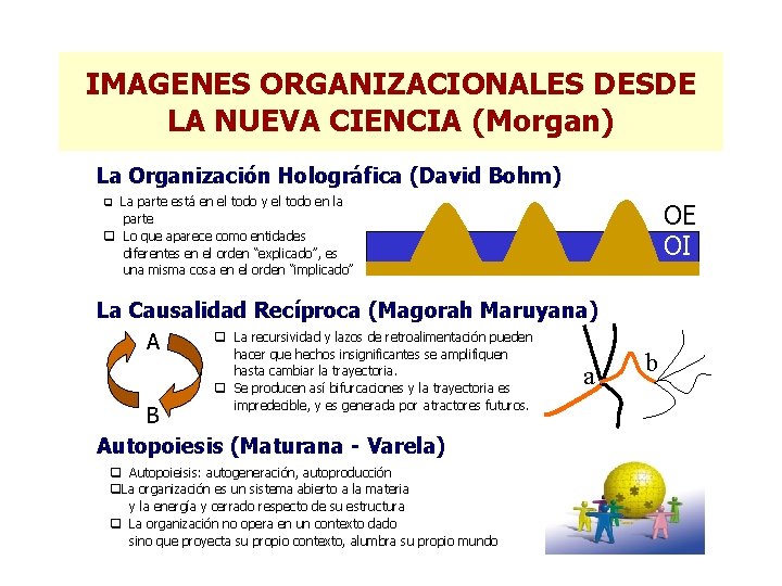 IMAGENES ORGANIZACIONALES DESDE LA NUEVA CIENCIA (Morgan) La Organización Holográfica (David Bohm) q La