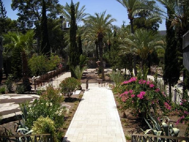 Friday, November 6, 2020 49 