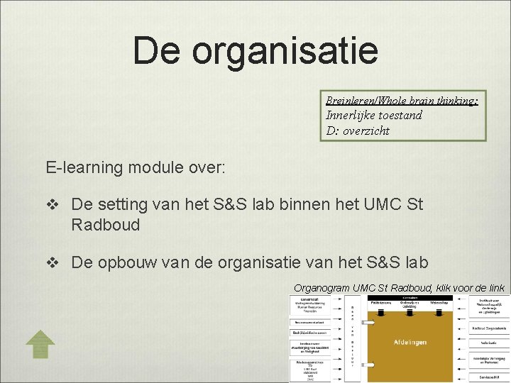 De organisatie Breinleren/Whole brain thinking: Innerlijke toestand D: overzicht E-learning module over: v De