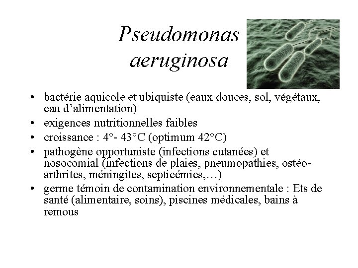 Pseudomonas aeruginosa • bactérie aquicole et ubiquiste (eaux douces, sol, végétaux, eau d’alimentation) •