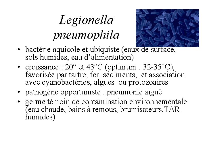 Legionella pneumophila • bactérie aquicole et ubiquiste (eaux de surface, sols humides, eau d’alimentation)
