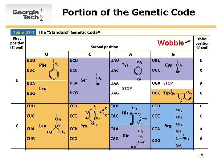 Portion of the Genetic Code Wobble 18 