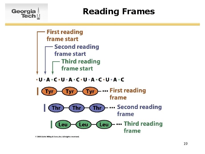 Reading Frames 19 