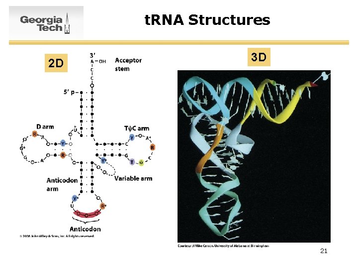 t. RNA Structures 2 D 3 D 21 