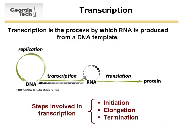 Transcription is the process by which RNA is produced from a DNA template. Steps
