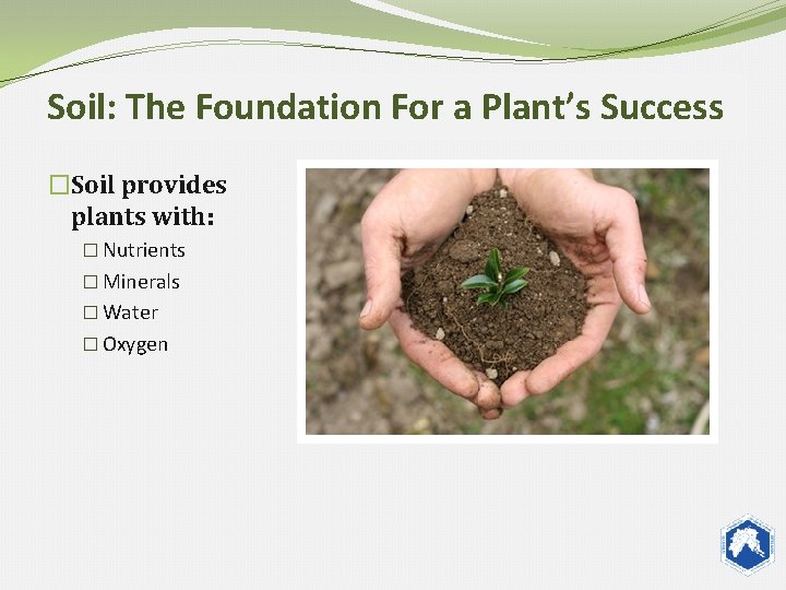 Soil: The Foundation For a Plant’s Success �Soil provides plants with: � Nutrients �